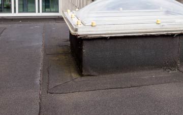 disadvantages of Carnwath flat roofs